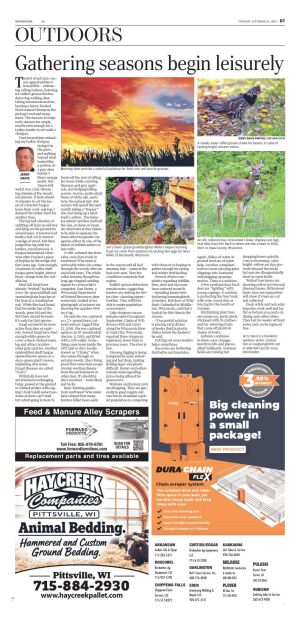 Page D7