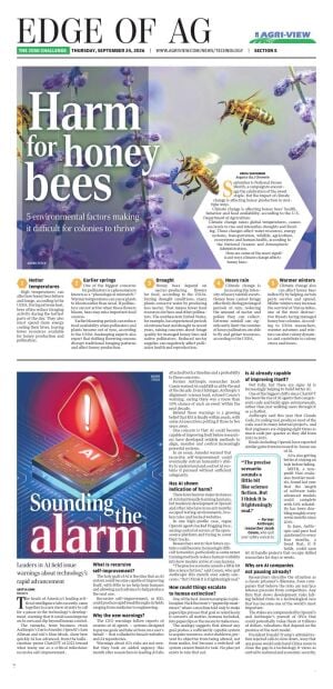 Page E5