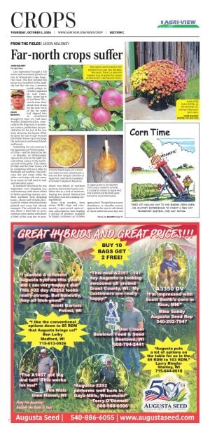 Page C1