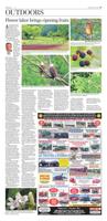 Page D7
