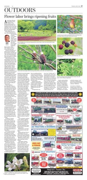 Page D7