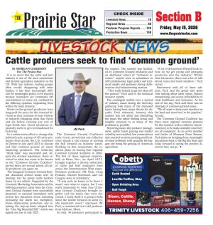 Page B01