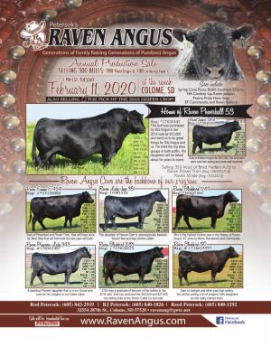 Page TSN LSG 2020 19