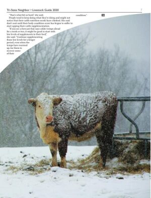 Page TSN LSG 2020 07