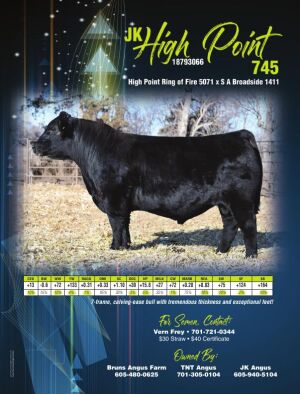 Page TSN LSG 2020 37