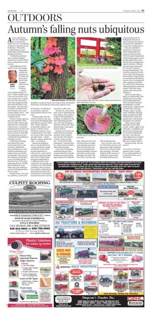 Page D7