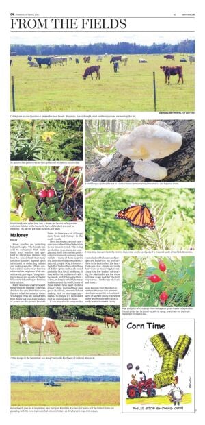 Page C4