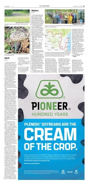 Page D7