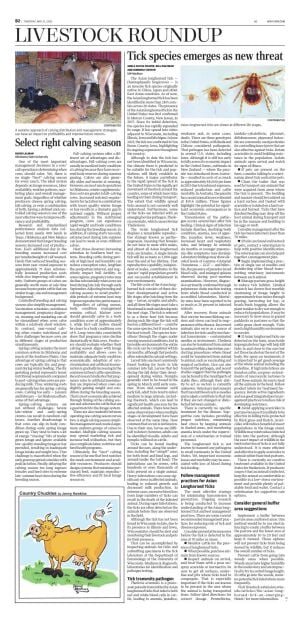 Page B2