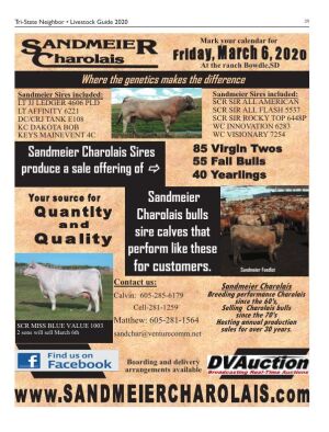 Page TSN LSG 2020 39