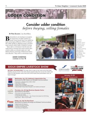 Page TSN LSG 2020 16