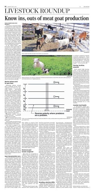 Page B2