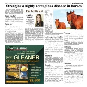 Page A20