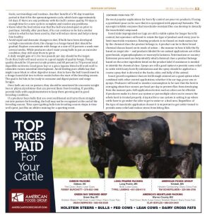 Page A019