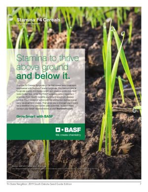 Page TSN_SEEDGUIDE_COVER 7