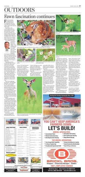 Page D7