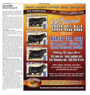 Page A11