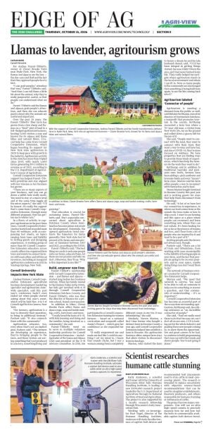 Page E4