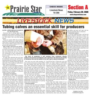 Page A01