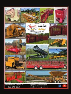 Page TSN LSG 2020 50