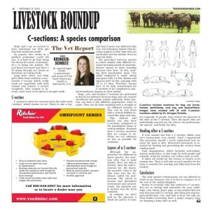 Page B08