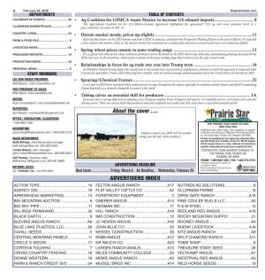 Page 04