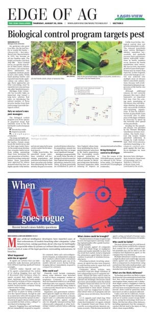 Page E4