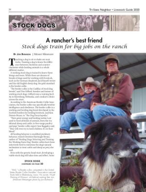 Page TSN LSG 2020 28