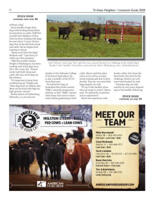 Page TSN LSG 2020 32