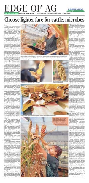 Page E4