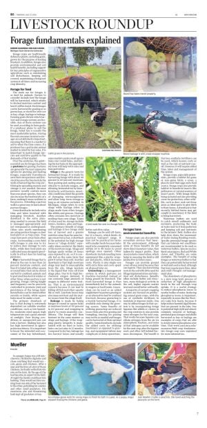 Page B2