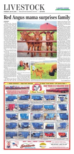Page B1
