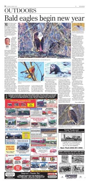 Page D6