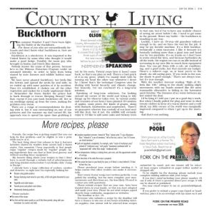 Page A21