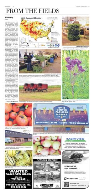 Page C3