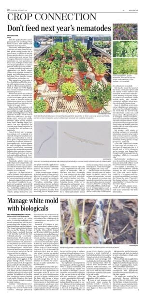 Page C2