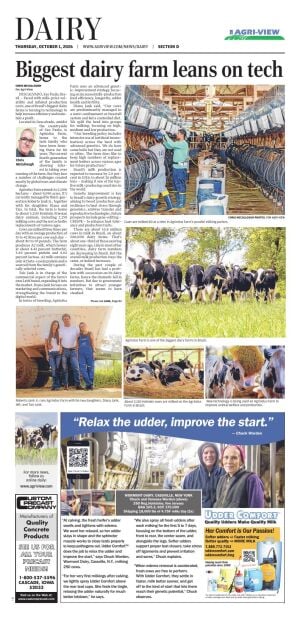 Page D1