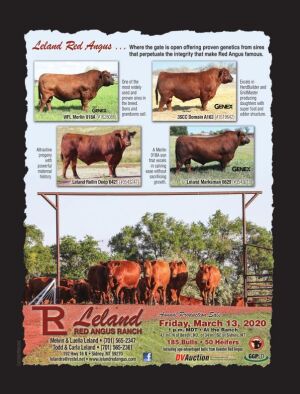 Page TSN LSG 2020 51