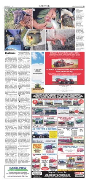 Page B3