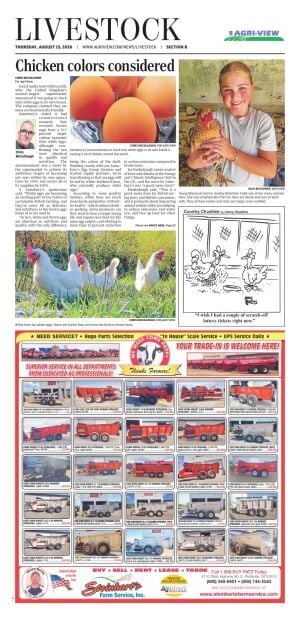 Page B1