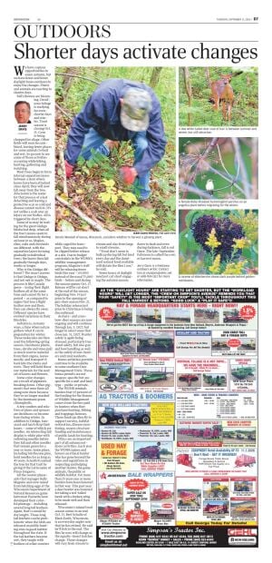 Page D7