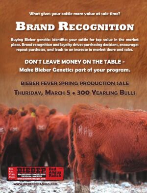 Page TSN LSG 2020 02