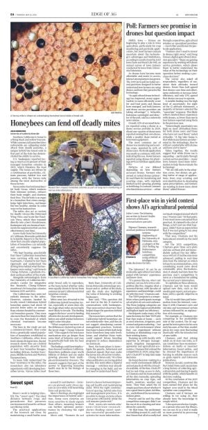 Page E4