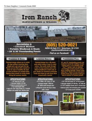 Page TSN LSG 2020 47