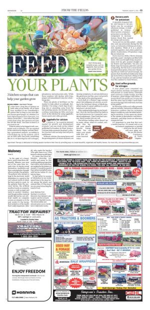 Page C5