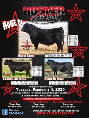 Page TSN LSG 2020 43