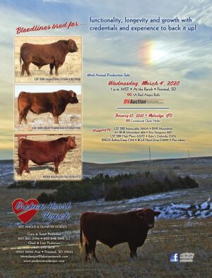 Page TSN LSG 2020 13