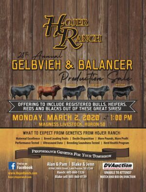 Page TSN LSG 2020 23