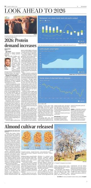 Page E4