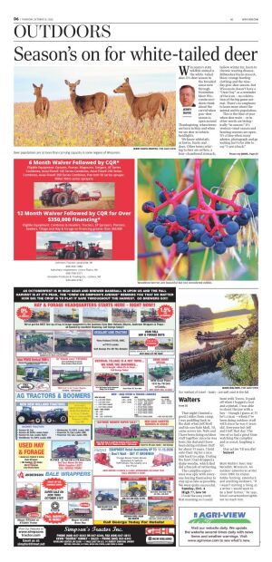 Page D6
